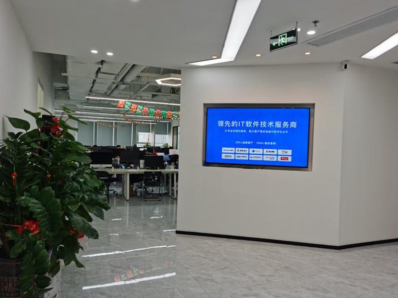 警惕软件开发误区:选择适合自己的方案